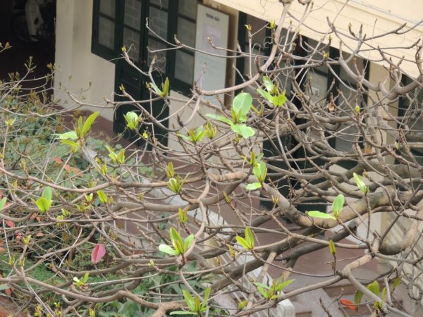 Bài kiểm tra: Ngôi trường có khung cửa sổ màu xanh