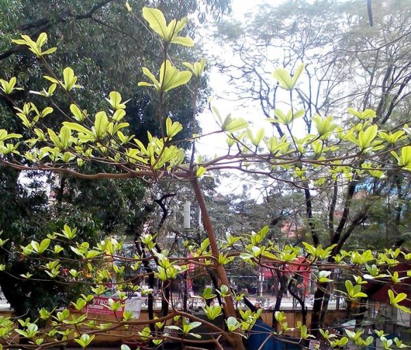 Viết cho mùa thể thao