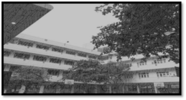 Trường tôi!