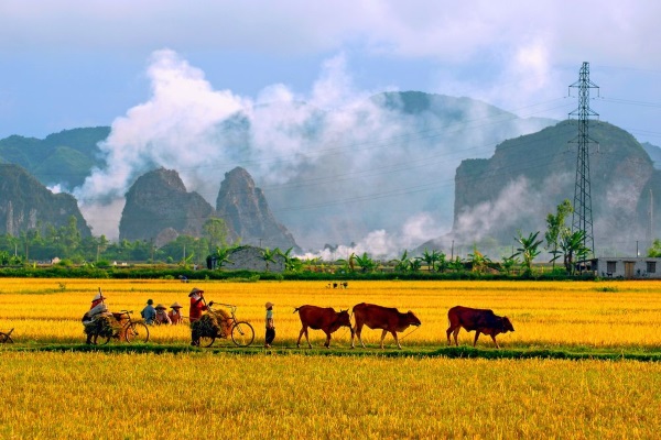 Mùa hè - những con đường tôi đi