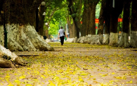 Thu Hà Nội