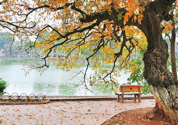 Hình như thu đã về…