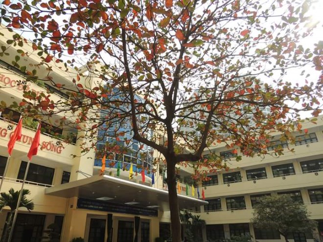 Cô giáo của tôi