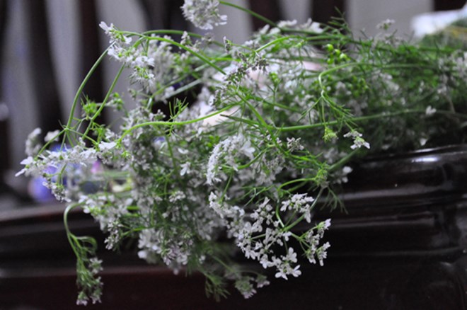 Sự khởi đầu trọn vẹn