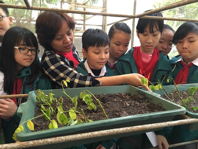 Học tập trải nghiệm tại Vườn thực nghiệm sinh học: “Chưa bao giờ hai tiết học lại trôi qua nhanh đến thế!”