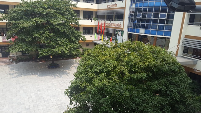 Nắng, hàng cây và sân trường