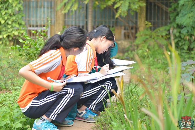 Khám phá trải nghiệm Vườn sinh học: Khơi nguồn tình yêu thiên nhiên