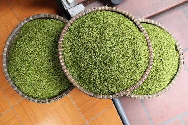 Phóng sự ảnh: Làng Vòng - nồng nàn hương cốm mùa thu