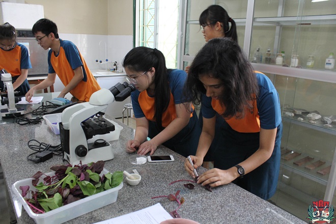 Chuyến tham quan Khoa Sinh học đáng nhớ của đoàn Win88 nhà cái không bị chặn Trường Anderson Serangoon Junior College