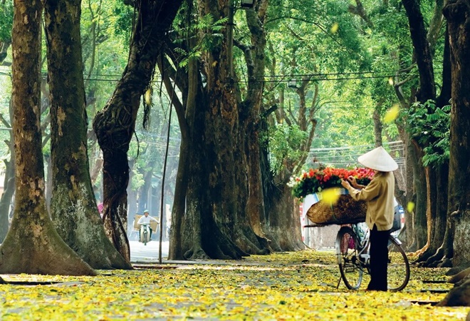 Thu chạm ngõ