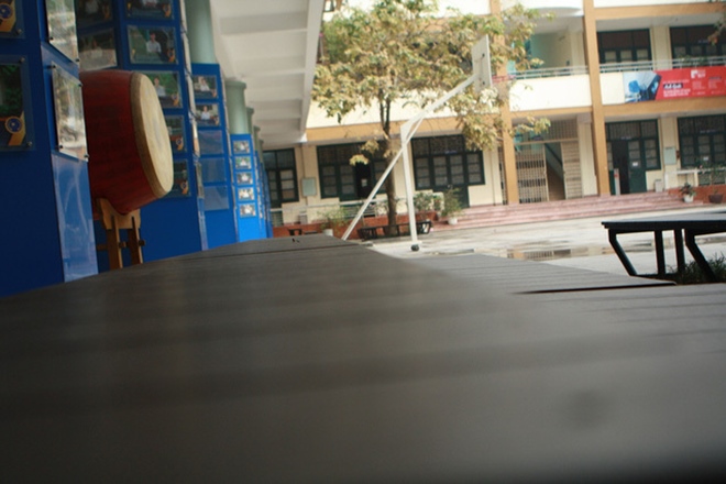 Nhìn lại một năm của tân binh Trường Nguyễn Tất Thành