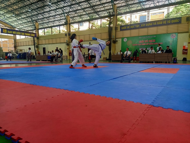 Giải Karate Vạn Thiện mở rộng