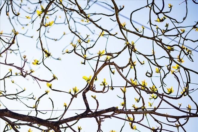Một chút gì để nhớ