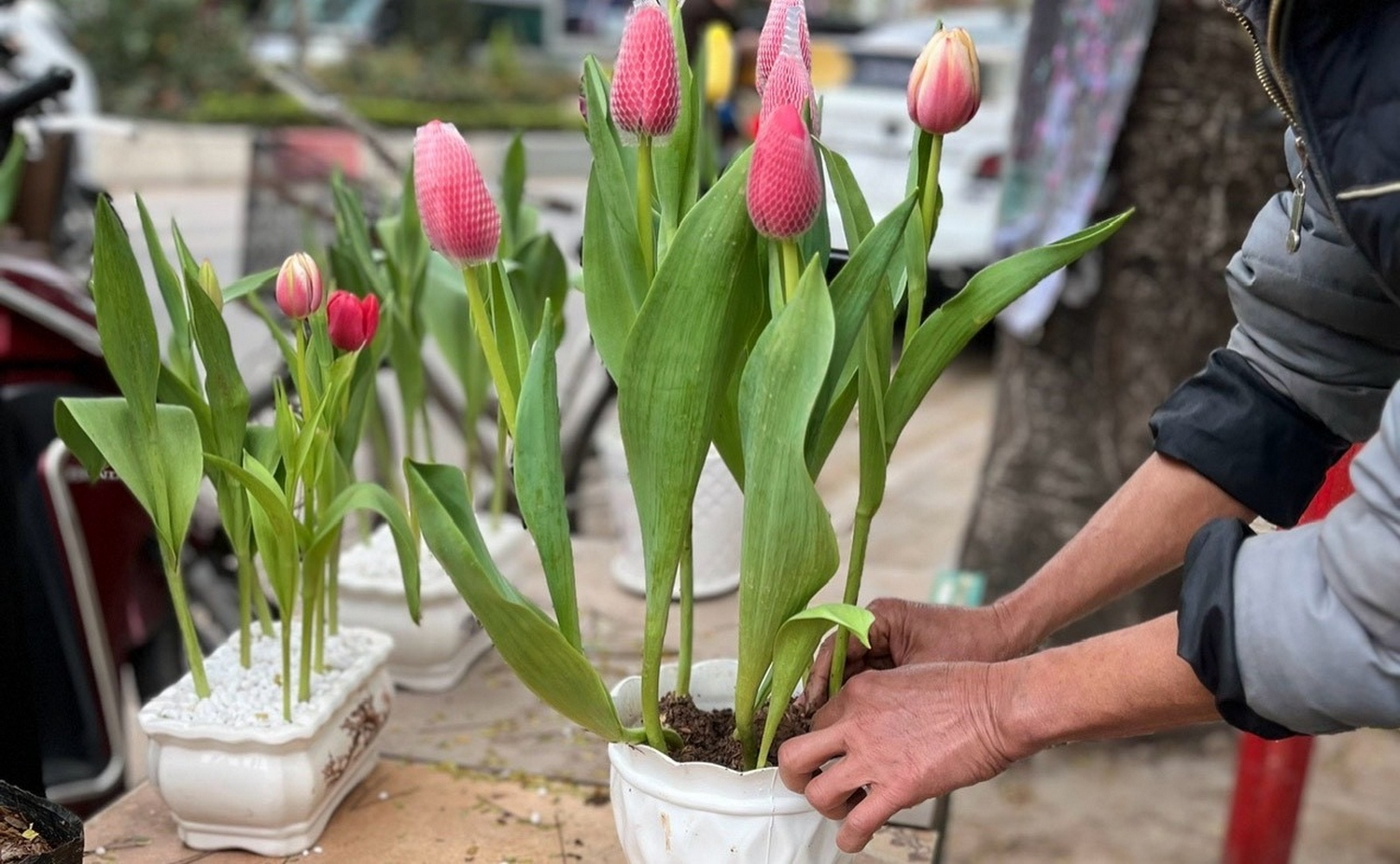 Đôi bàn tay - nét đẹp của con người lao động