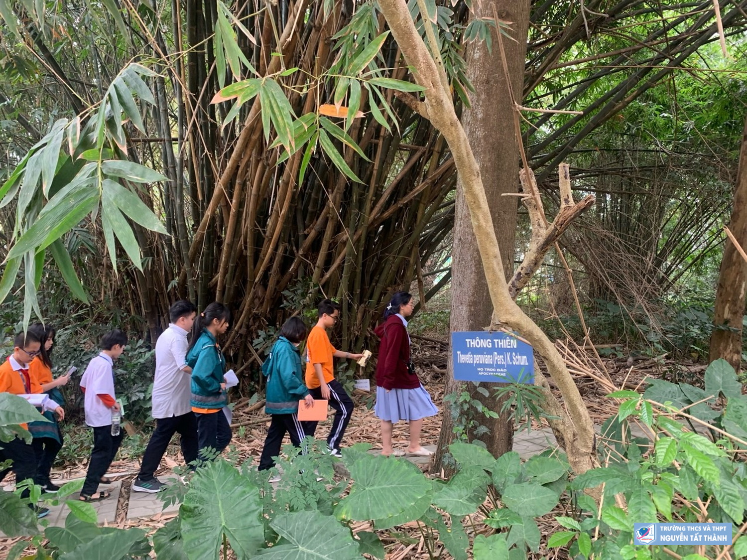 Khám phá Bảo tàng Tài nguyên rừng: Lắng nghe thanh âm của thiên nhiên