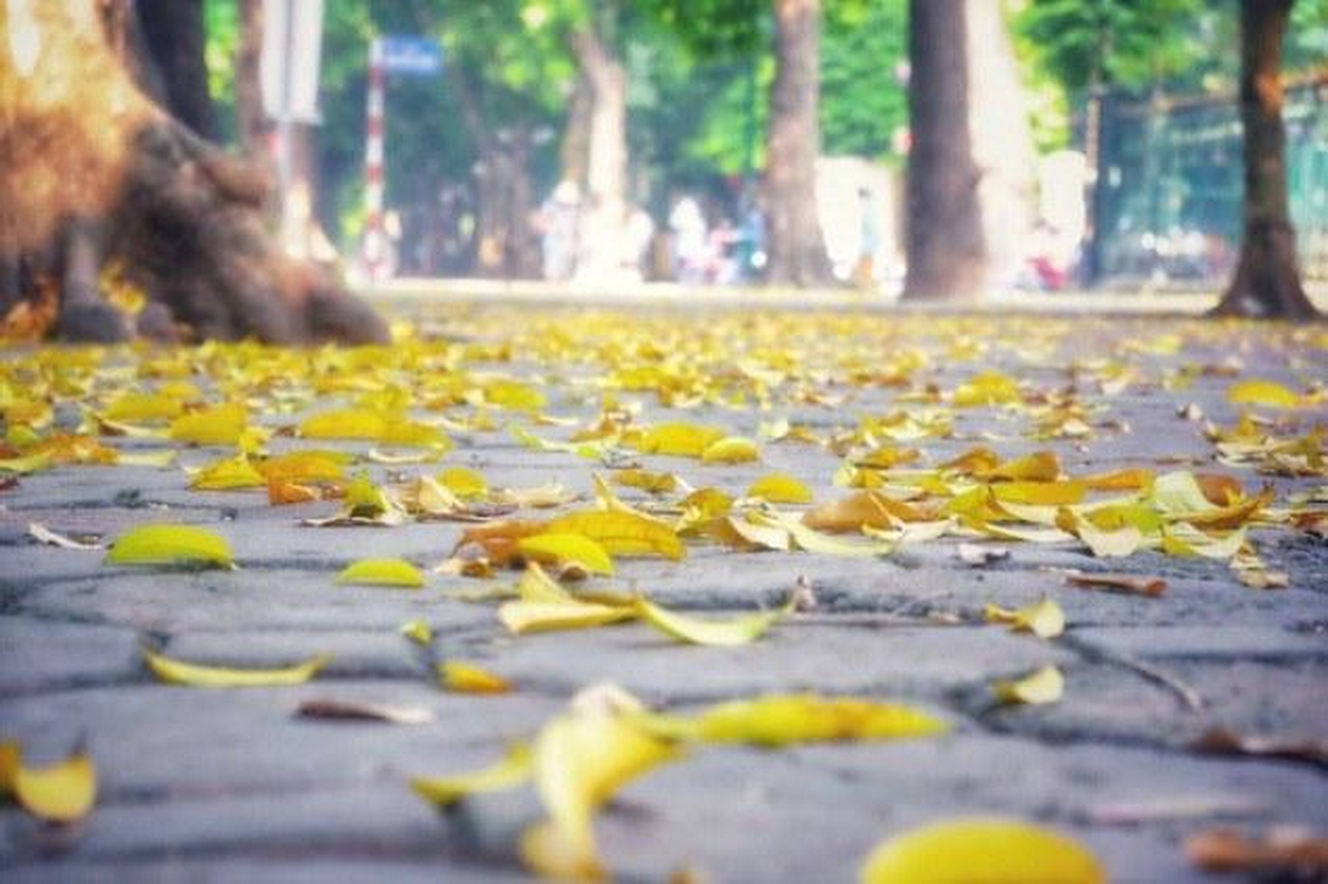 Tản mạn tháng Tư